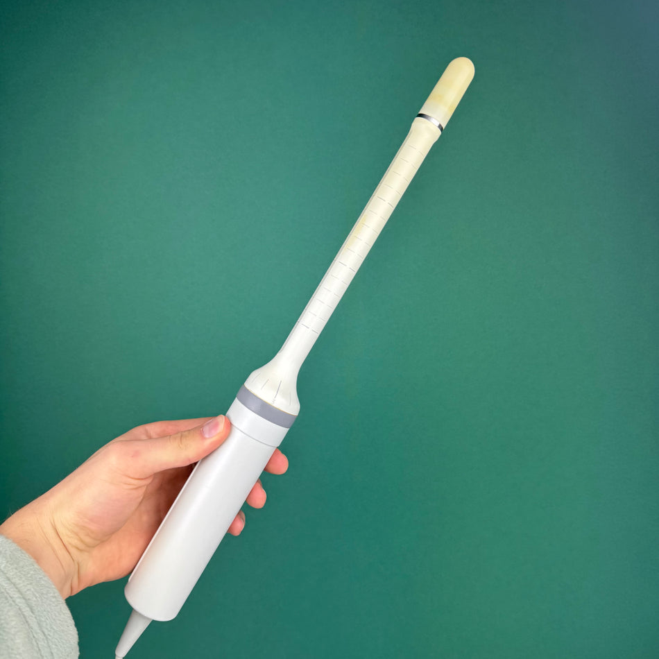 Siemens 10038881 IPX8 Ultraschall Sonde G20/40/50, Baujahr: 2007
